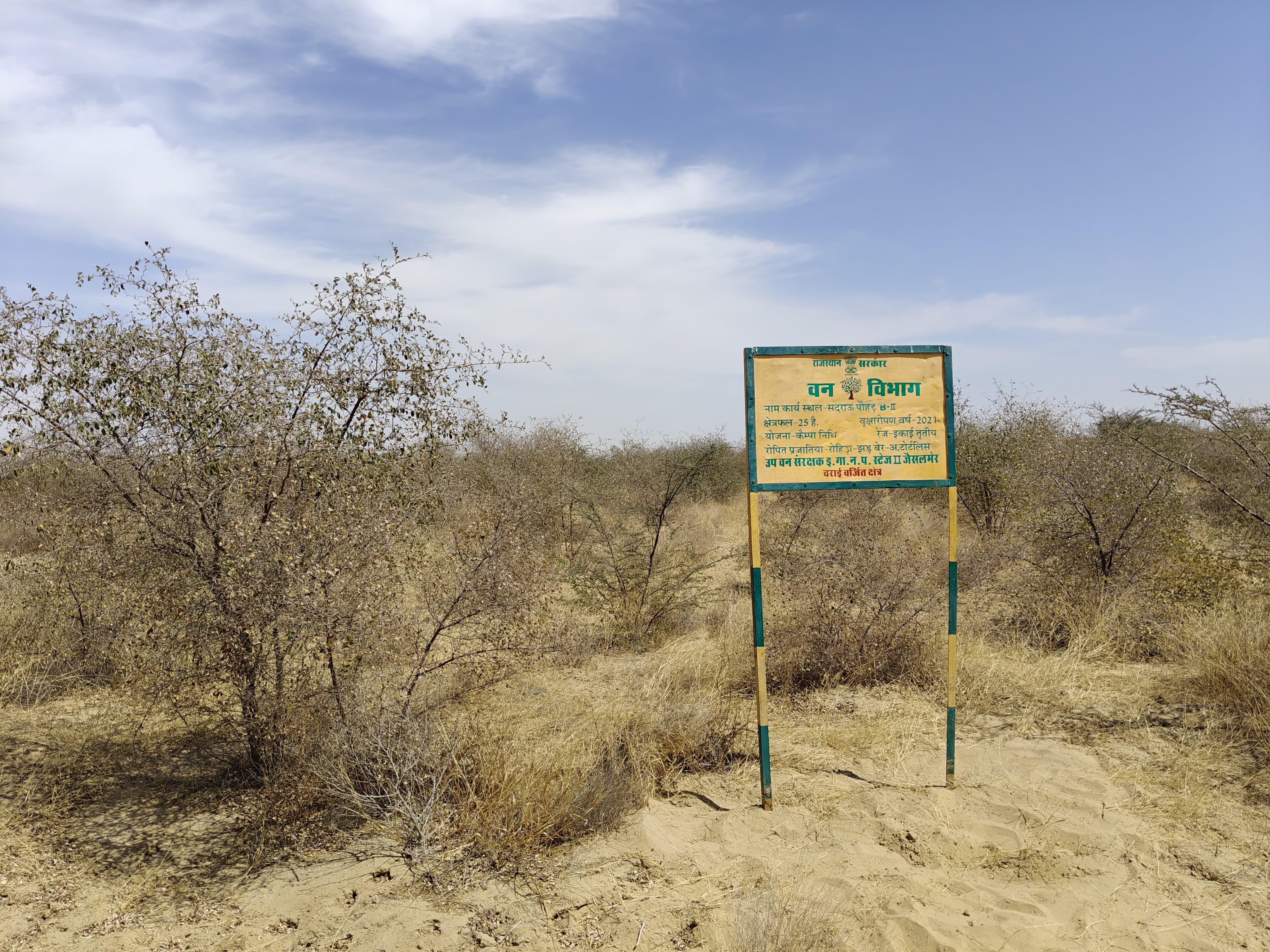Compensatory Afforestation